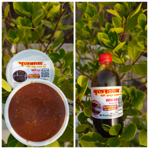 Ghritoraj Special Nolen Gur 500g  & Patali Gur 500g combo