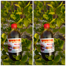 Ghritoraj Special Nolen Gur 2kg Combo Pack 